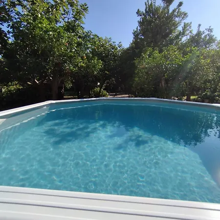 Appartement Cc Palace With Pool *