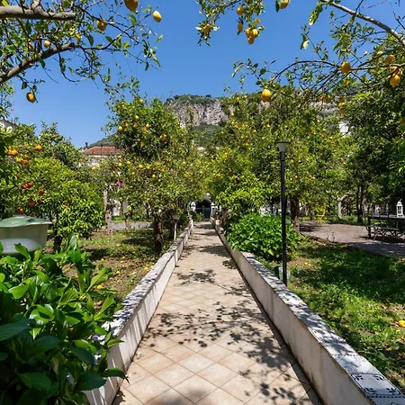 Seasuntour - Cc Palace * 메타